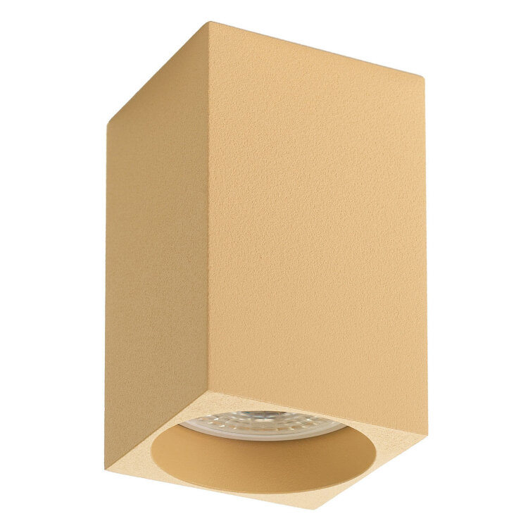 Светильник накладной Denkirs DK2009-CO