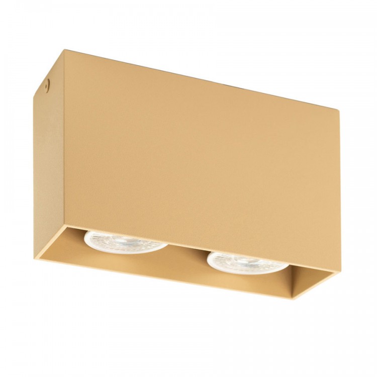 Светильник накладной Denkirs DK2028-CO бежевый