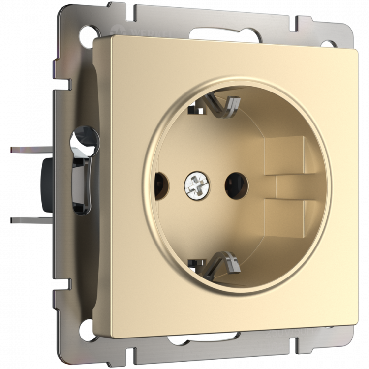 Werkel Розетка с/з Шампань W1171011 (WL11-SKG-01-IP20)
