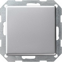 GIRA Е22 Выключатель 1-кл с самовозвратом Сталь GIR 285020